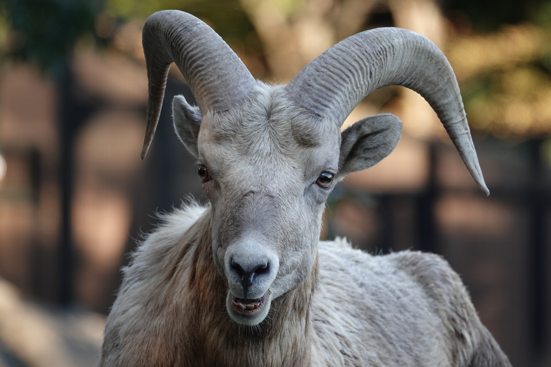 金沢動物園