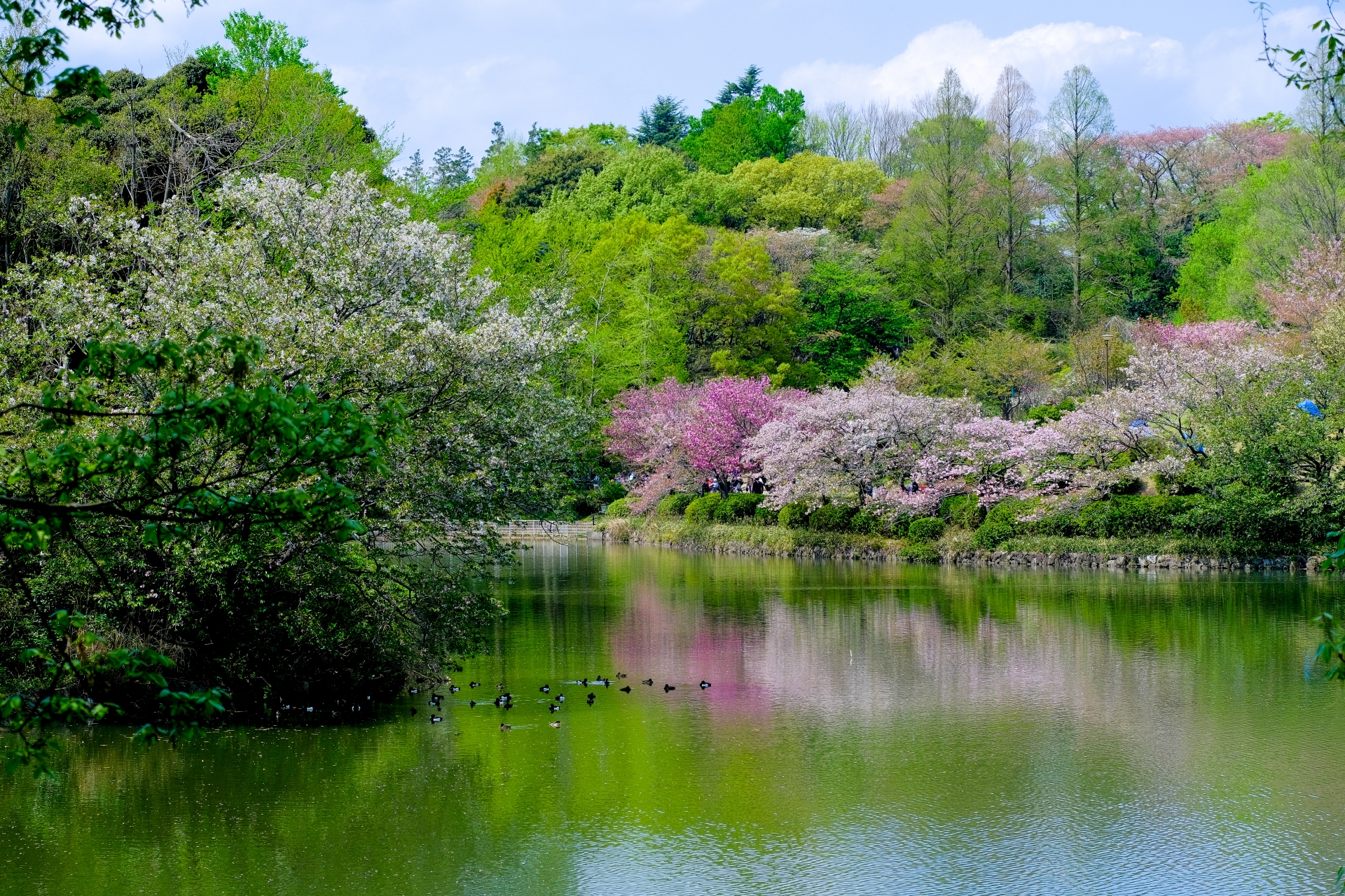 三ツ池公園