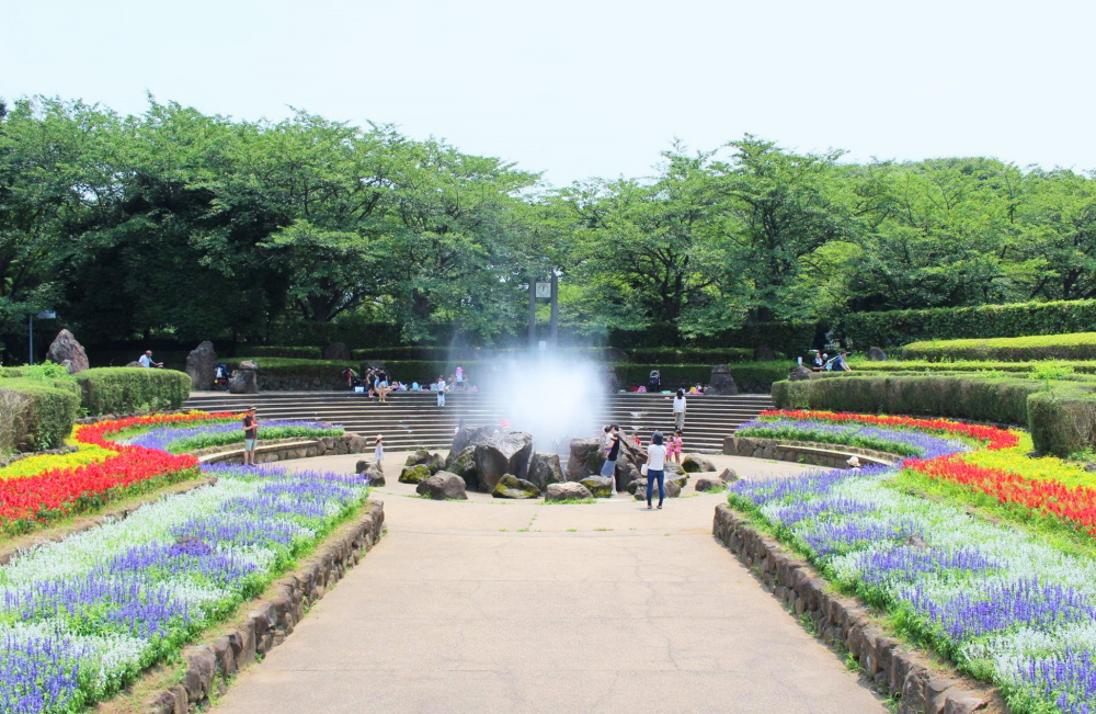 四季の森公園