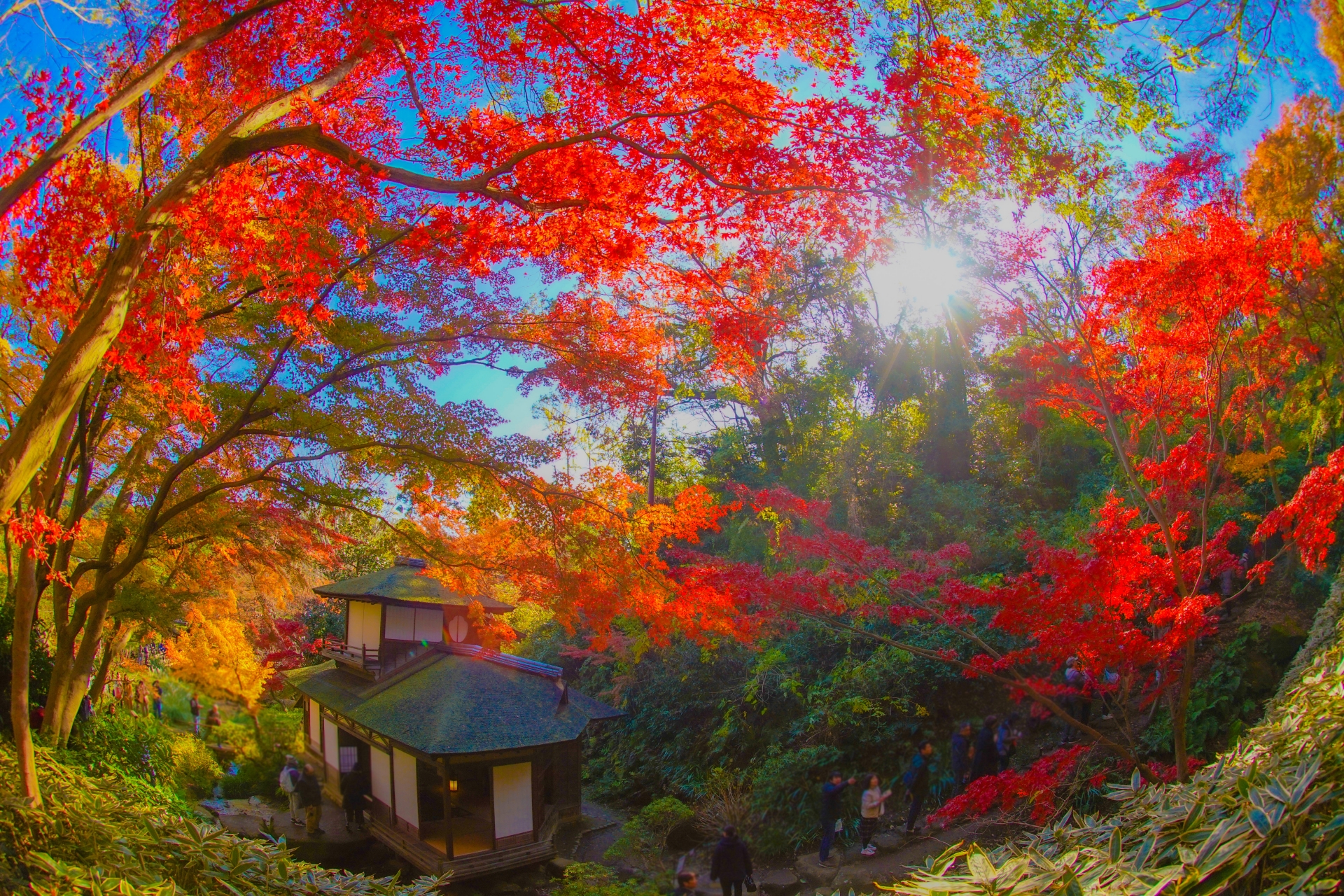 日本民家園