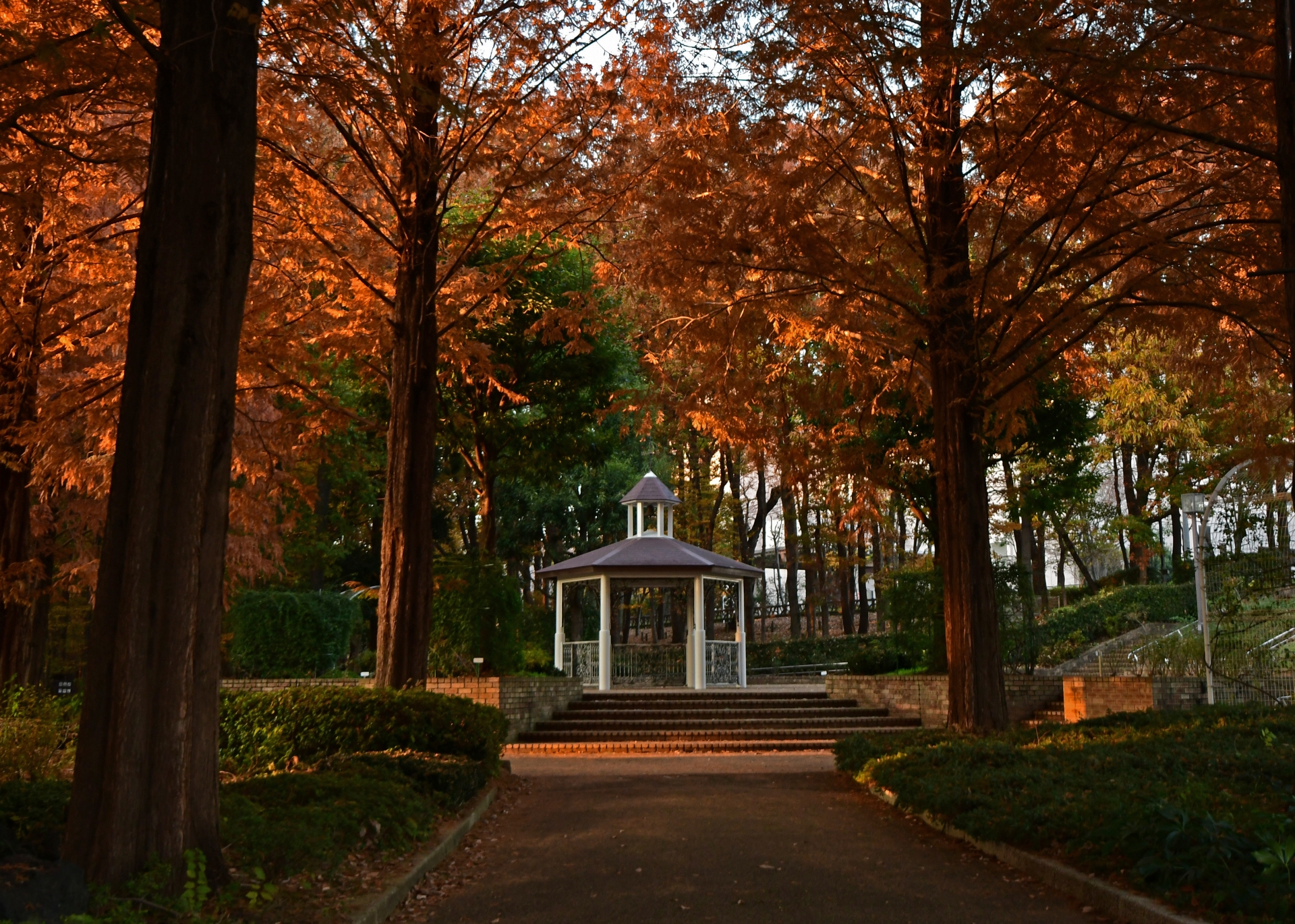 相模原北公園