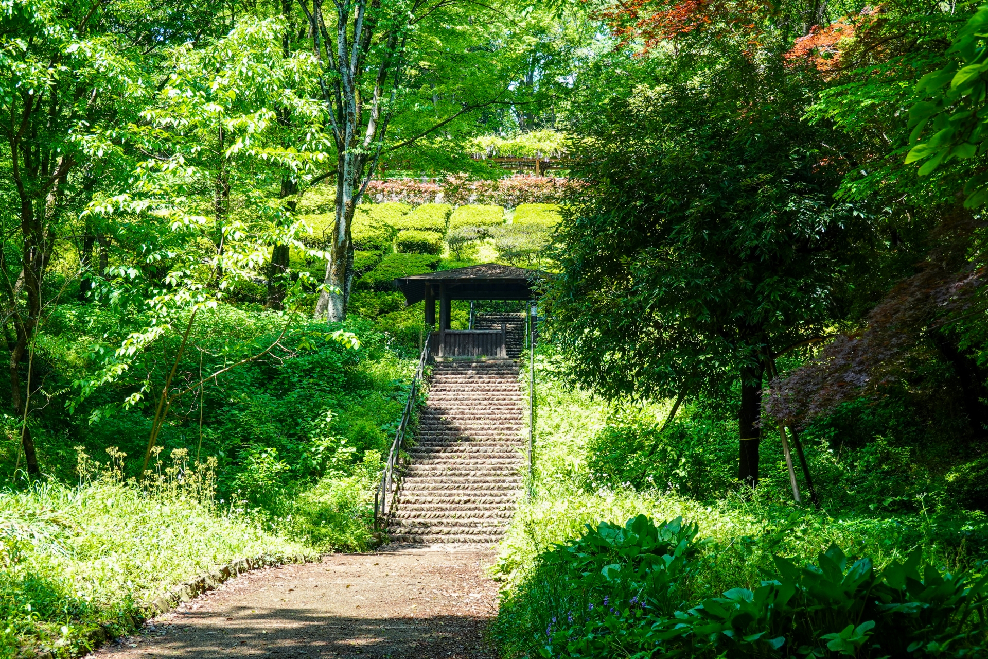 東高根森林公園