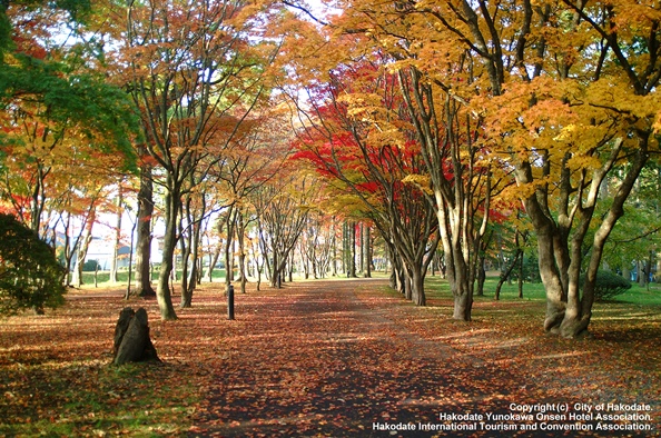 見晴公園