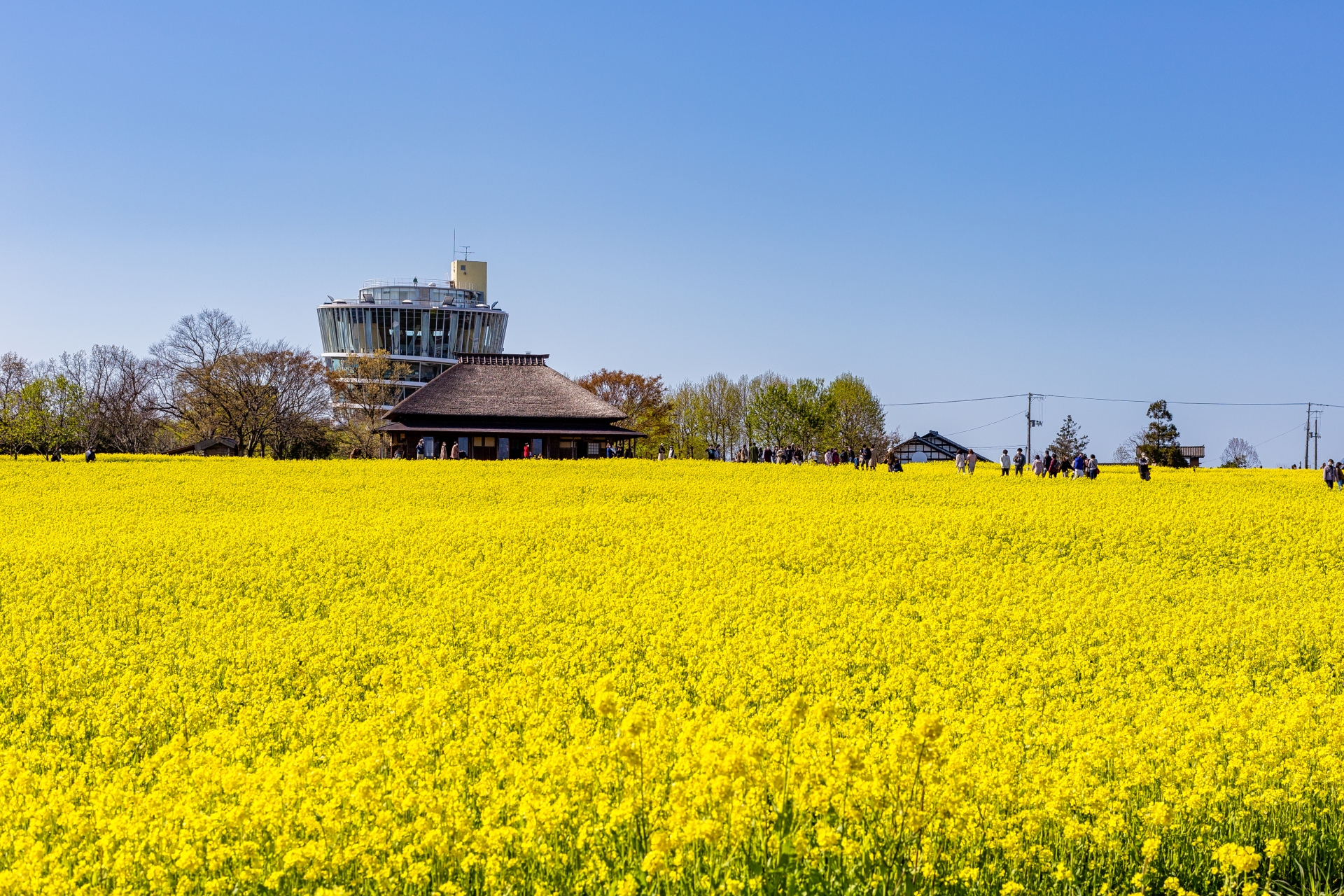 福島潟