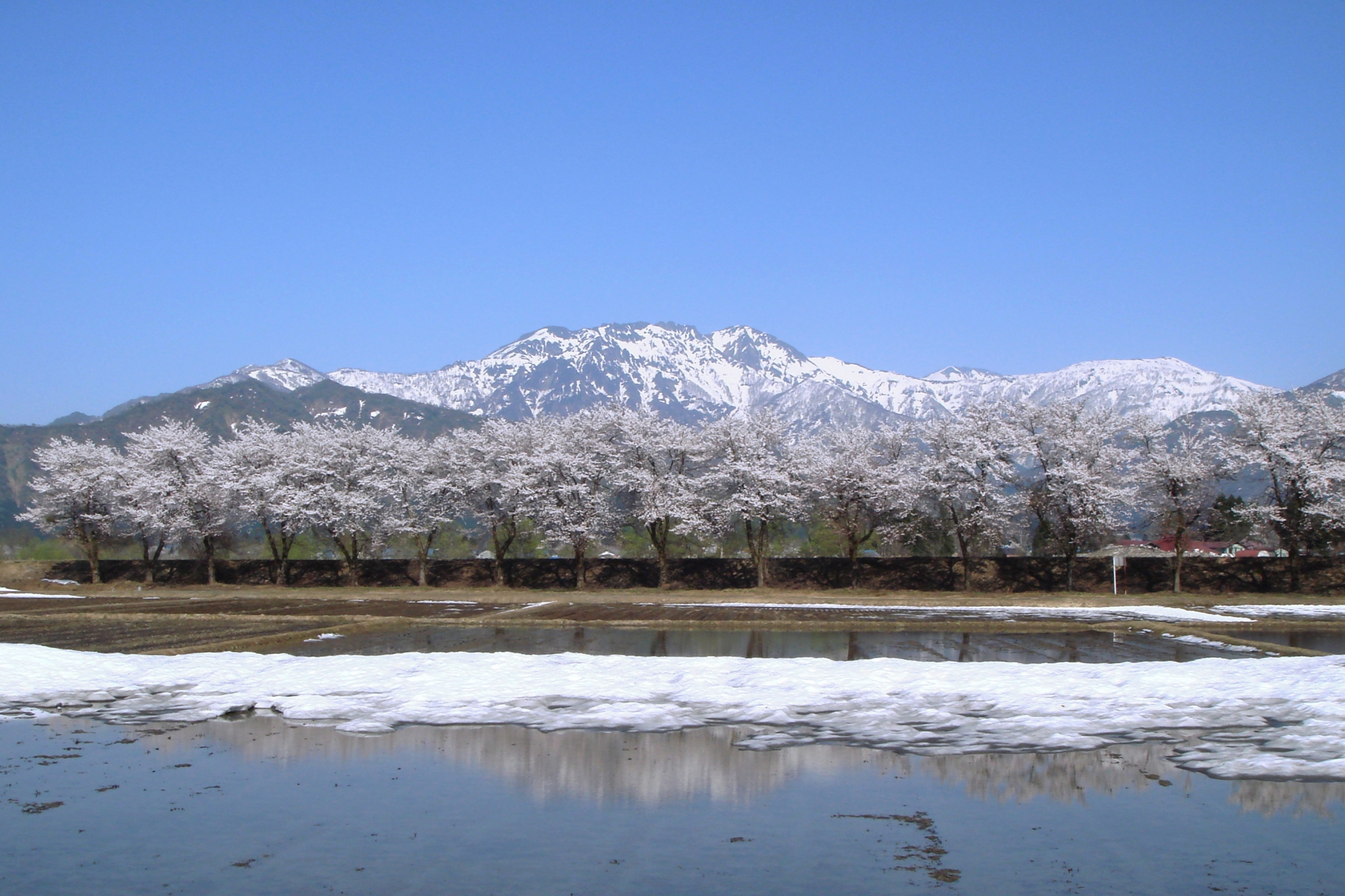 八海山