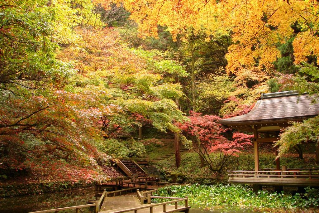 加茂山公園