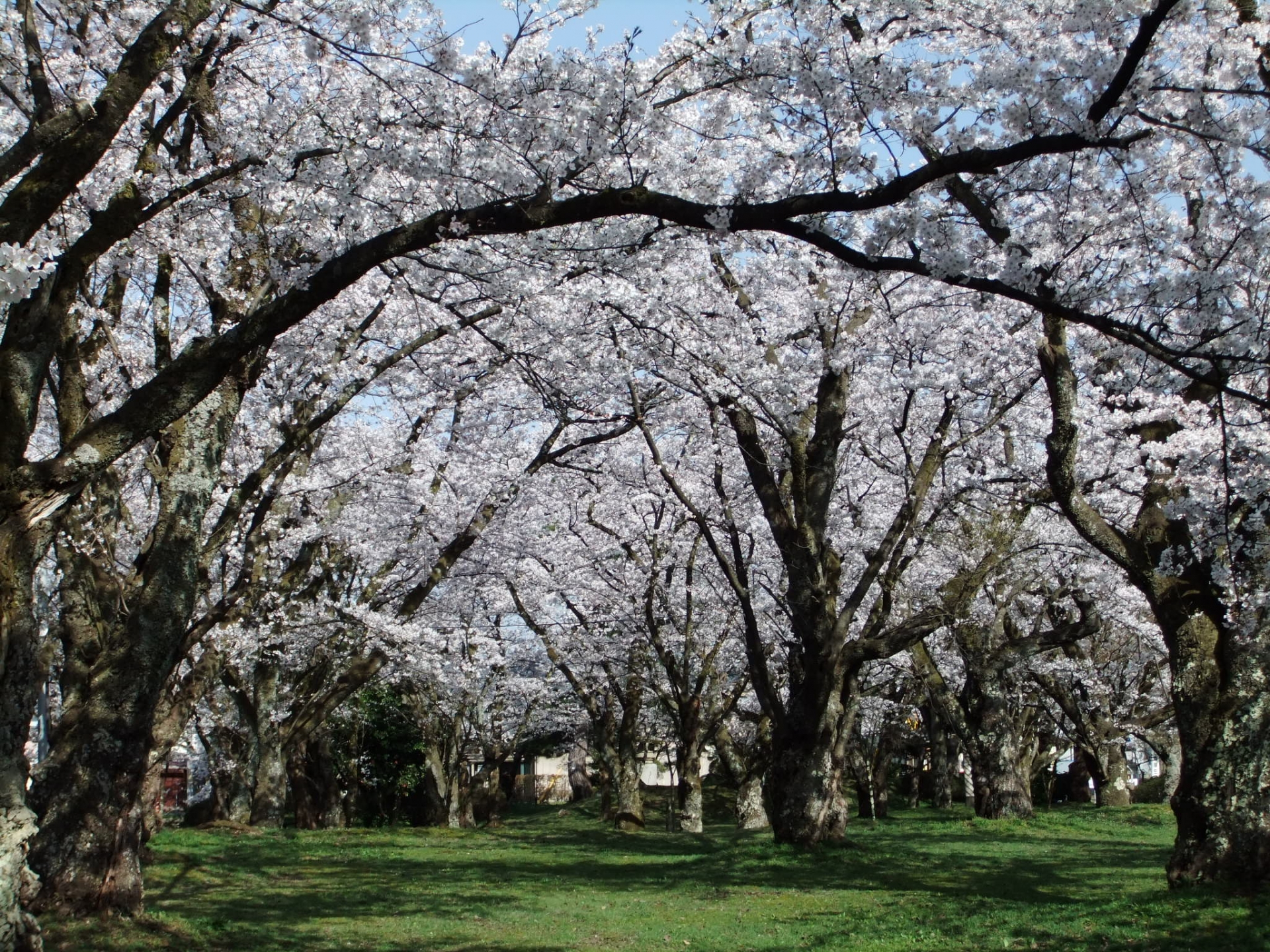 村松公園