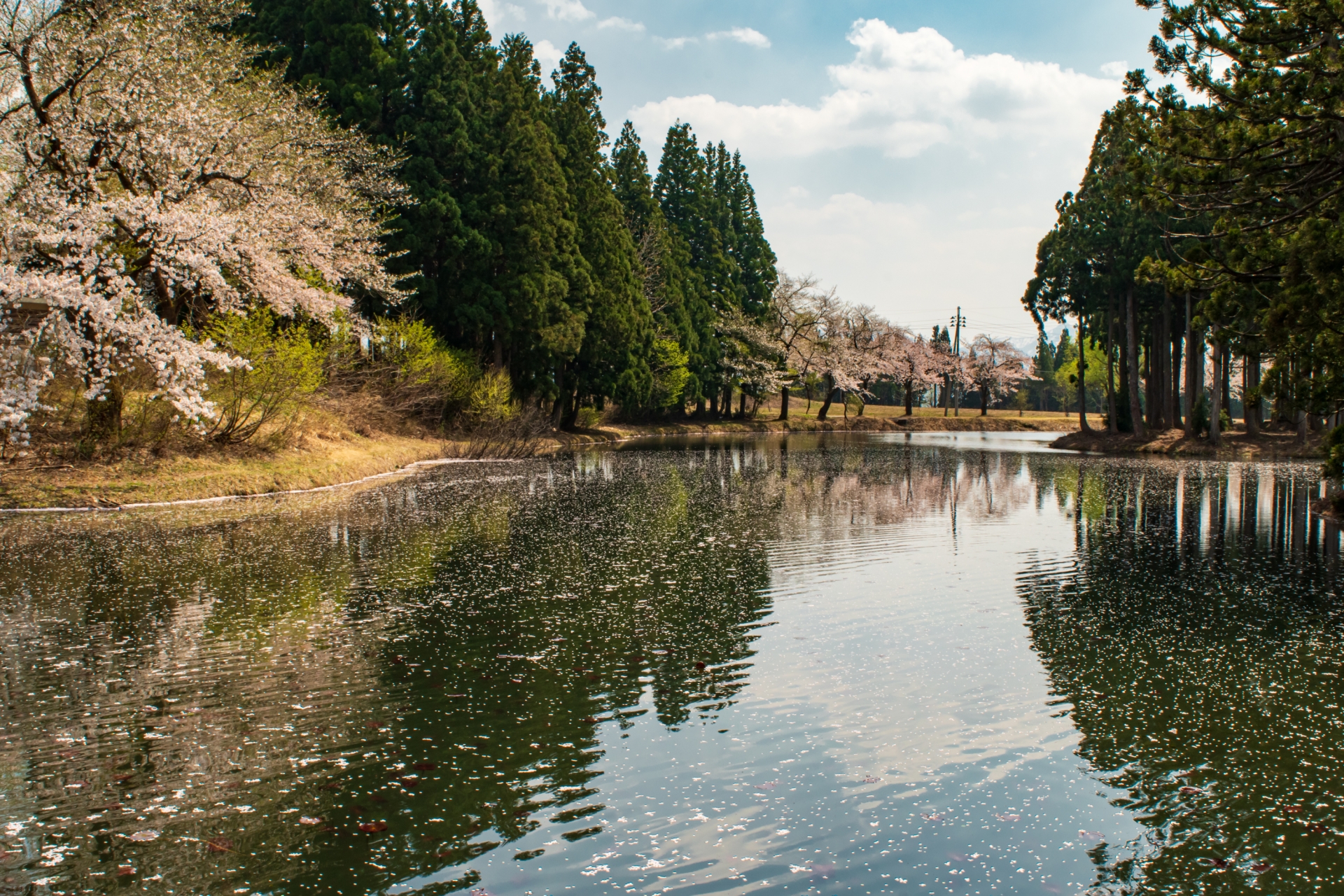 お松の池