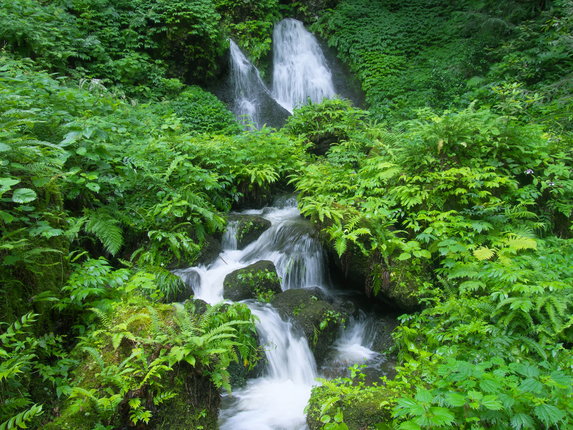 白玉の滝