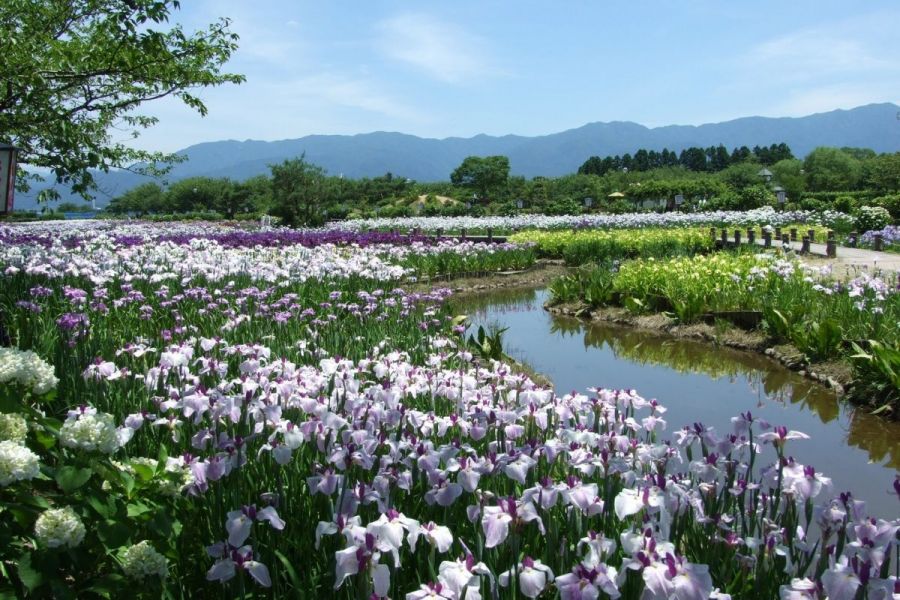 瓢湖水きん公園