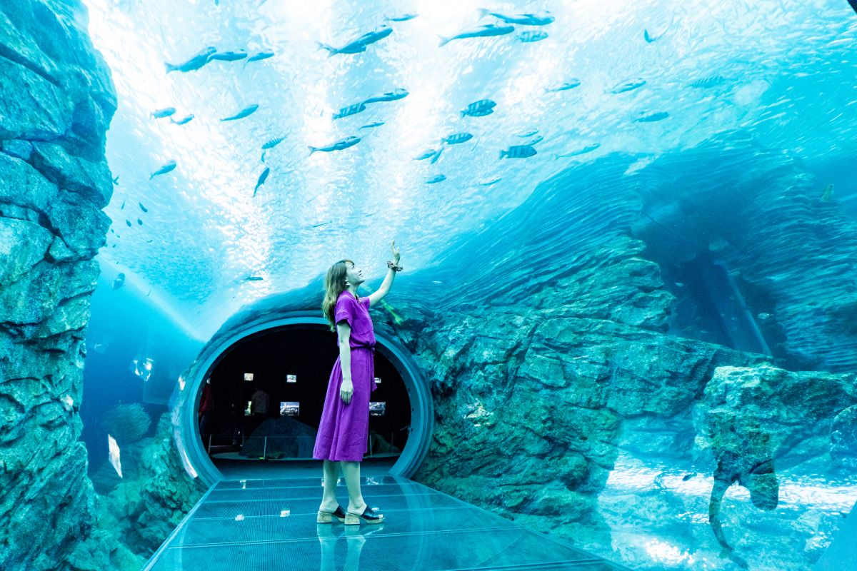 上越市立水族博物館 うみがたり