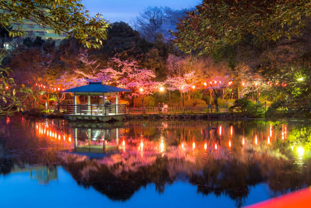 高岡古城公園