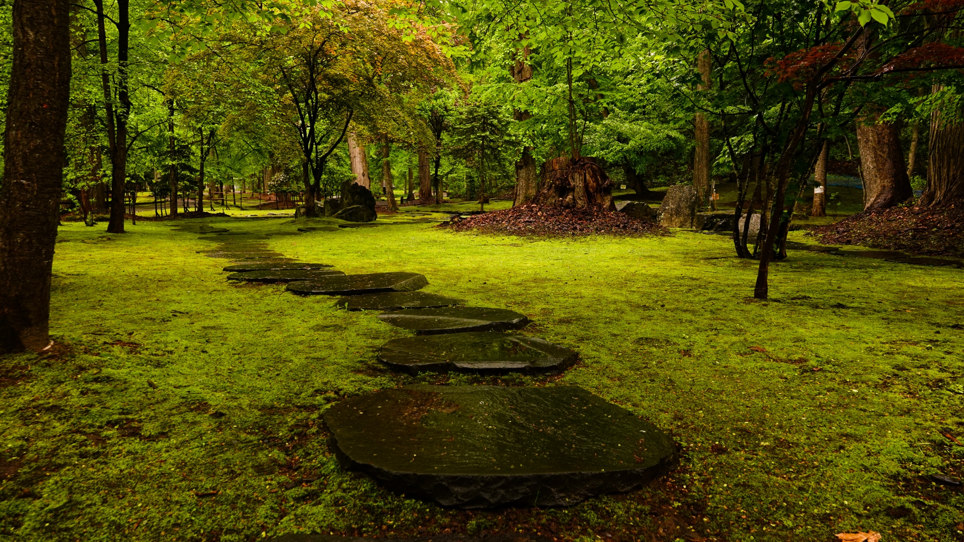 神楽岡公園