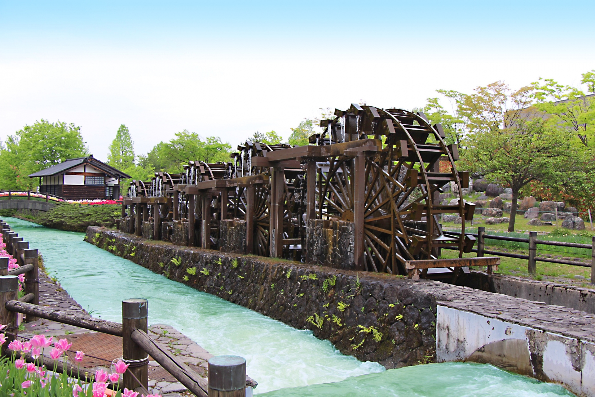 砺波チューリップ公園