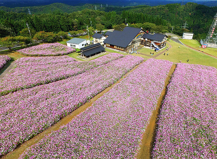 となみ夢の平スキー場