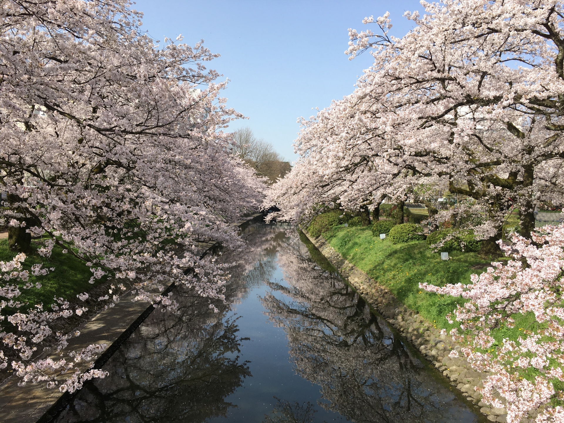 富山城址公園