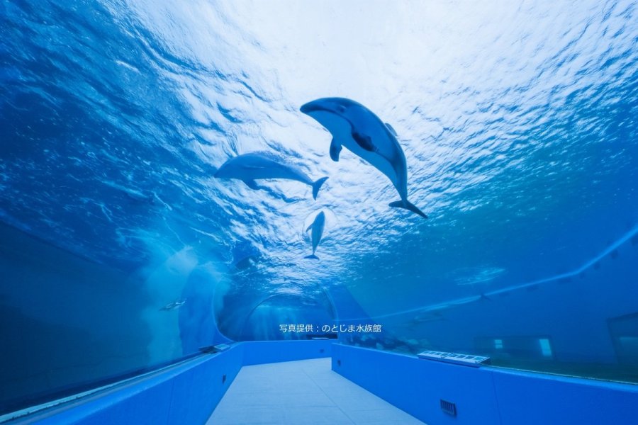 のとじま水族館