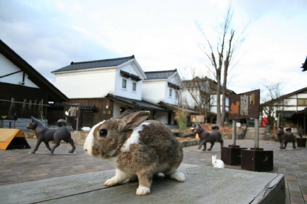 月うさぎの里