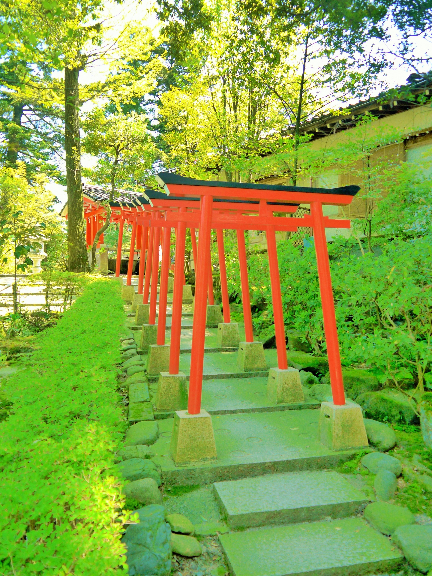 金澤神社