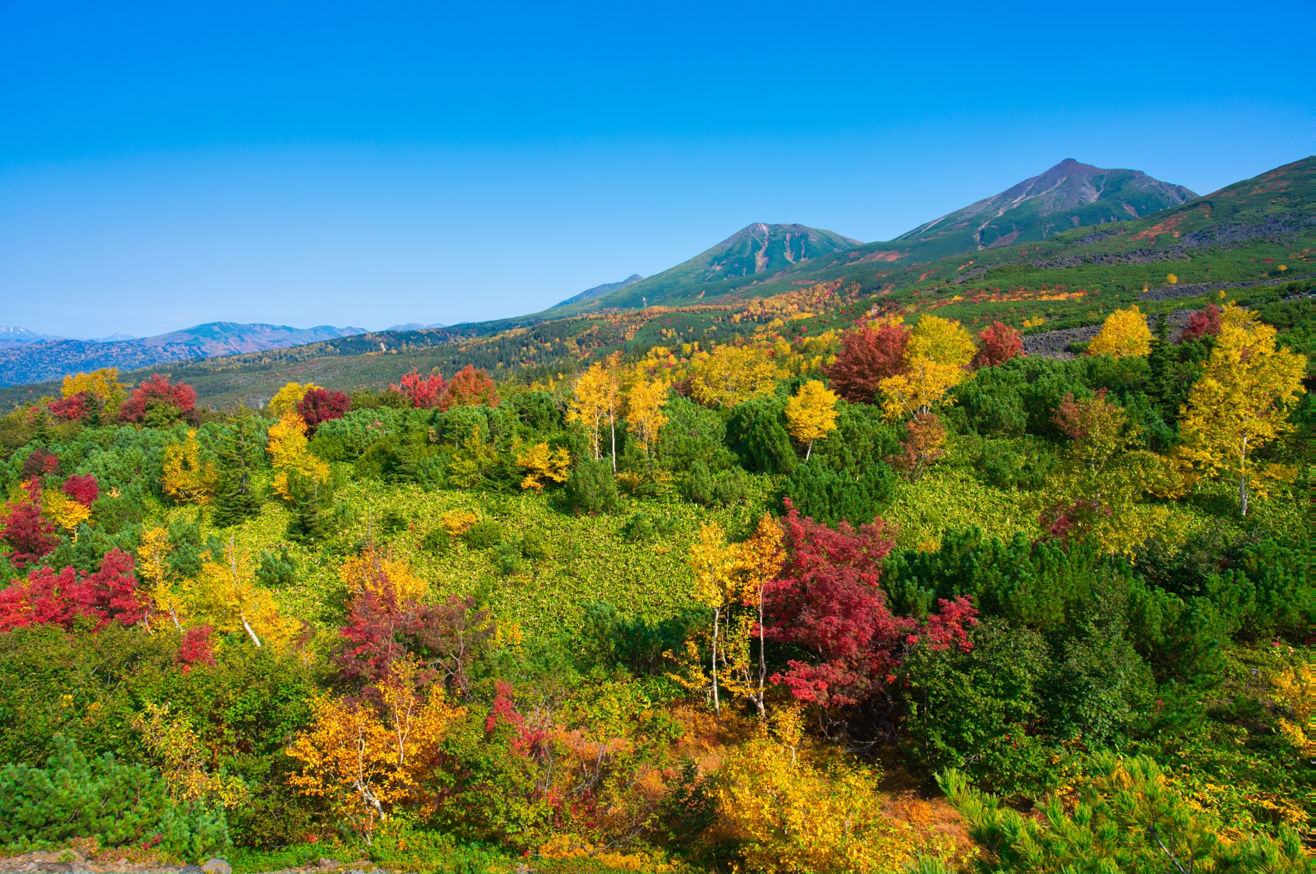 十勝岳望岳台