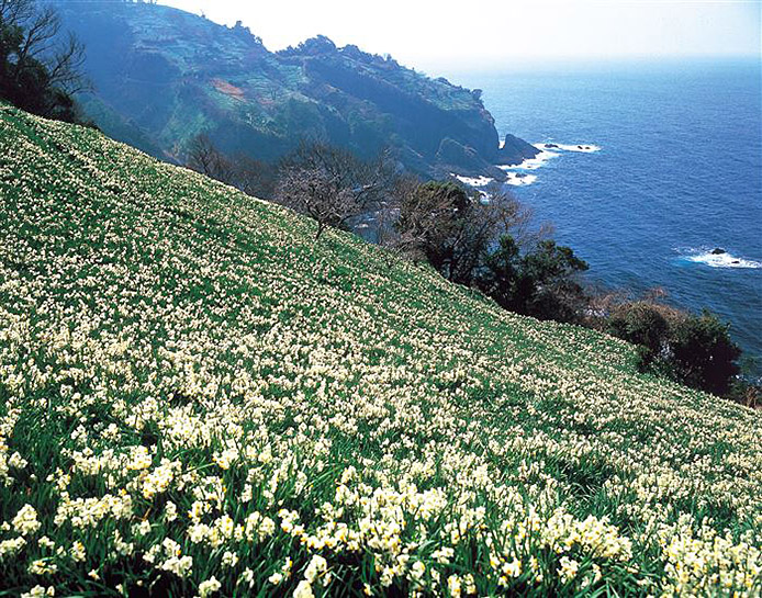 越前海岸