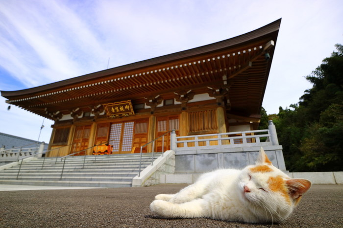 御誕生寺