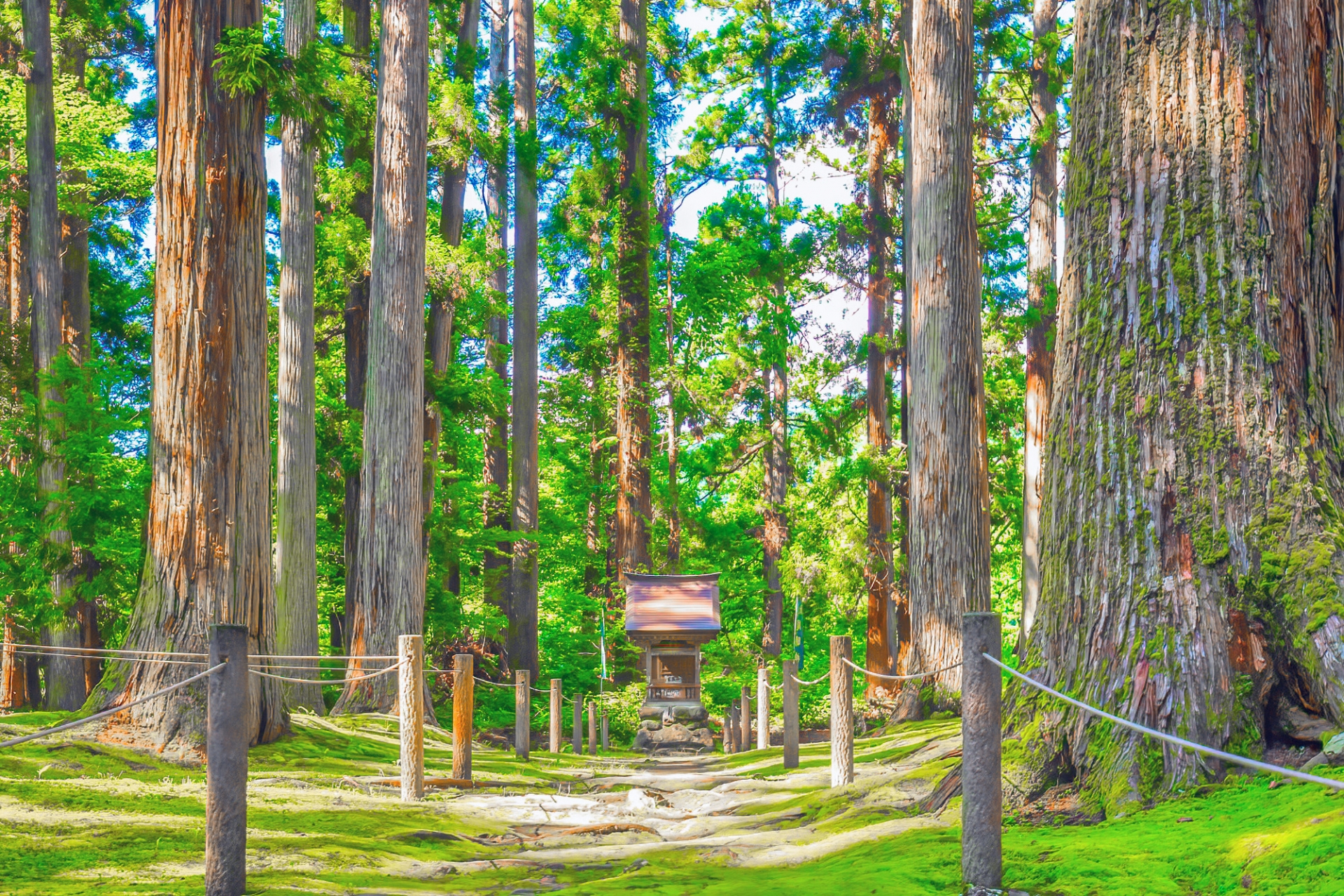 平泉寺白山神社