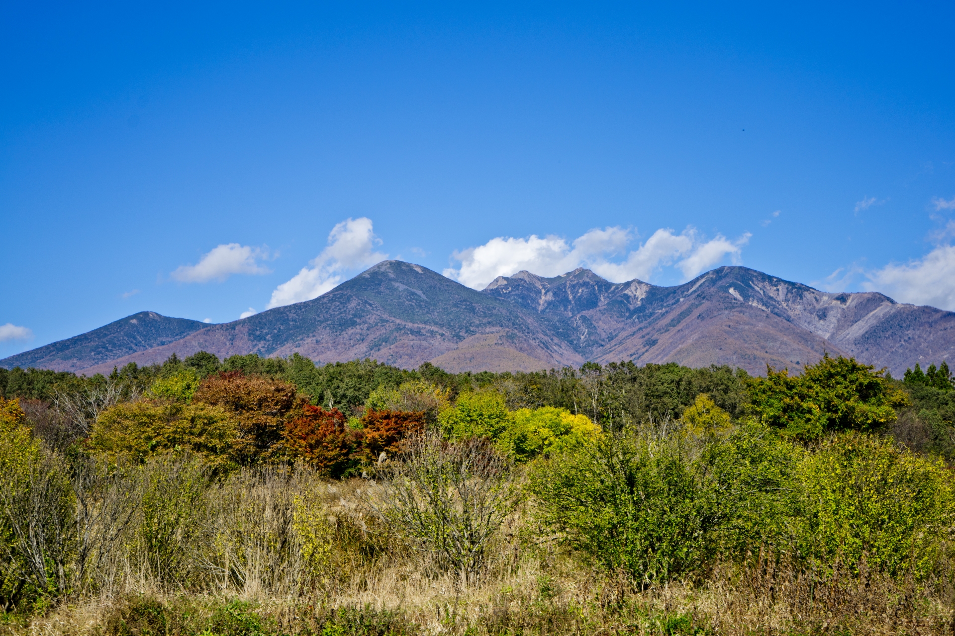 山梨 八ヶ岳