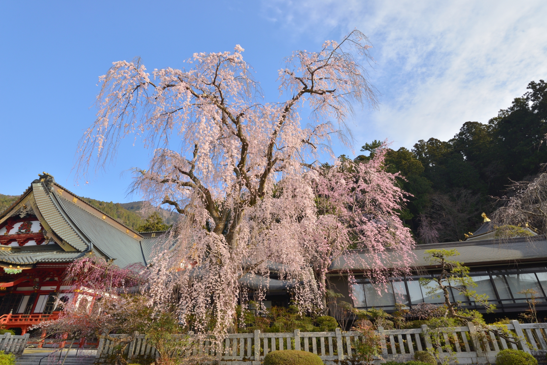 久遠寺