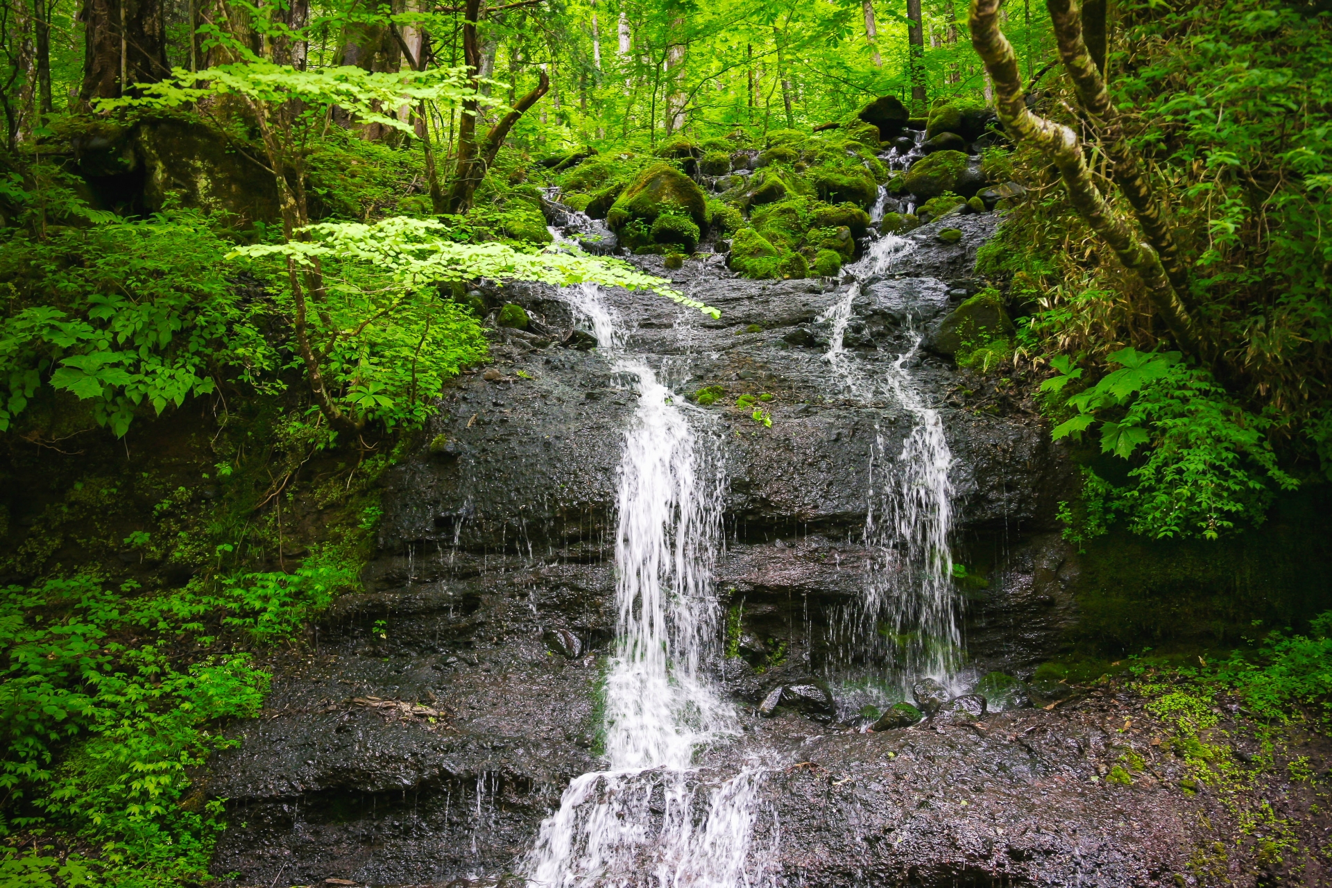 吐竜の滝