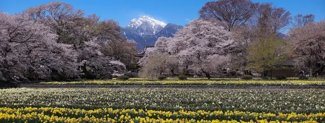 大津山 実相寺