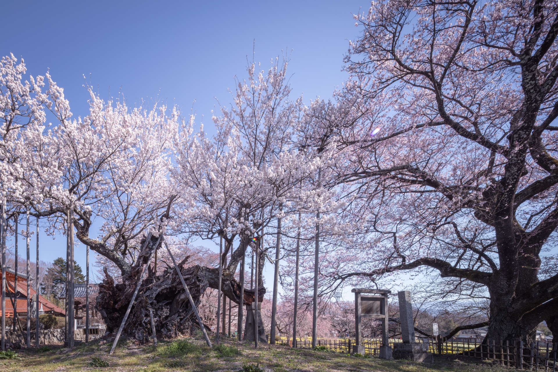 大津山 実相寺