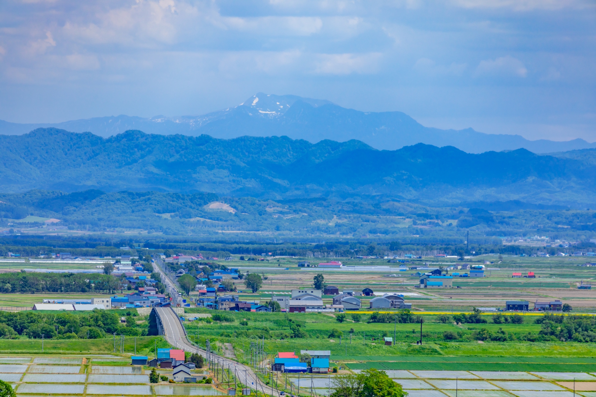 北海道 円山公園