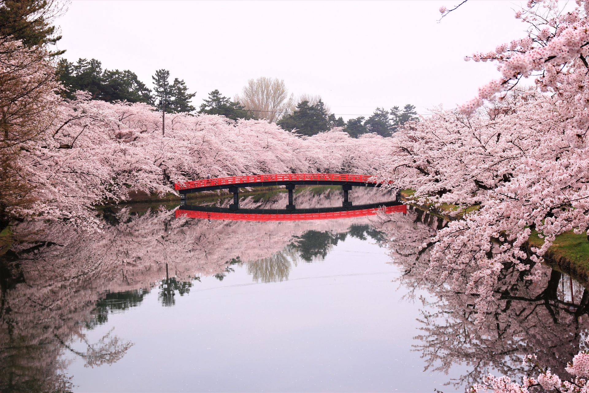 弘前公園