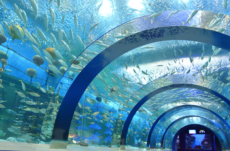 青森県営浅虫水族館