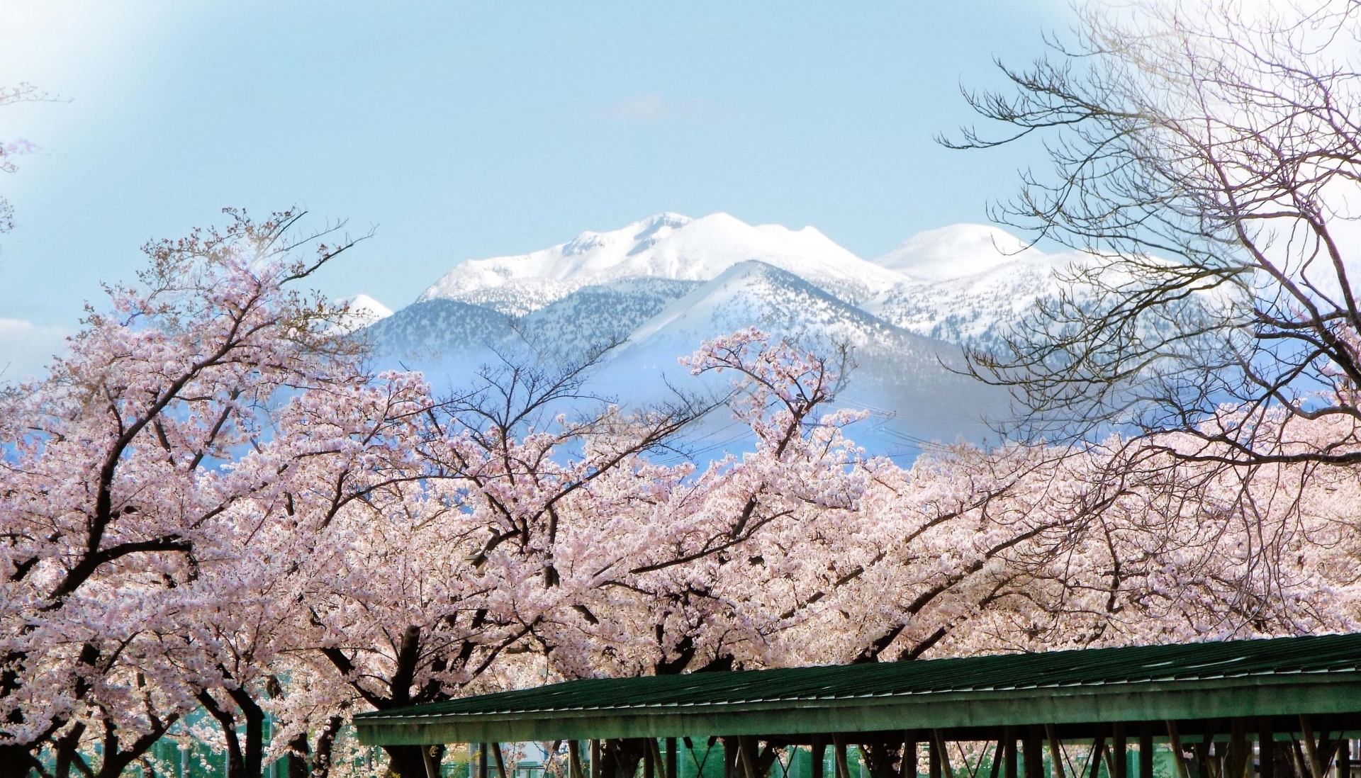 八甲田山