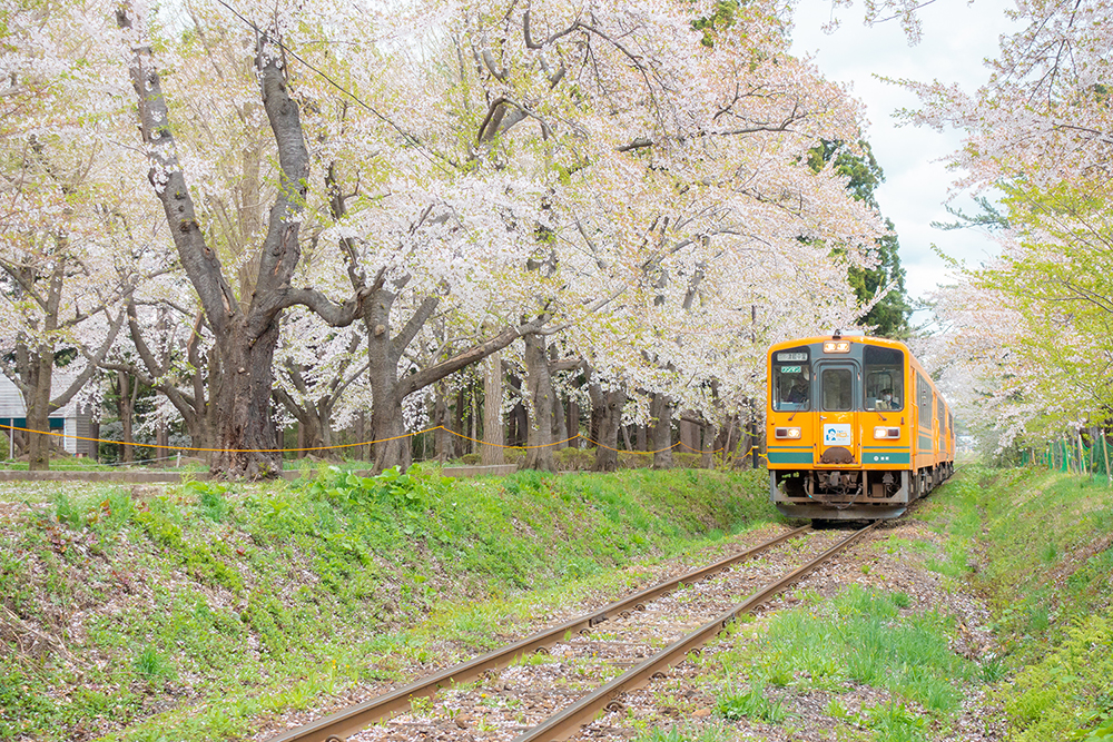 芦野公園