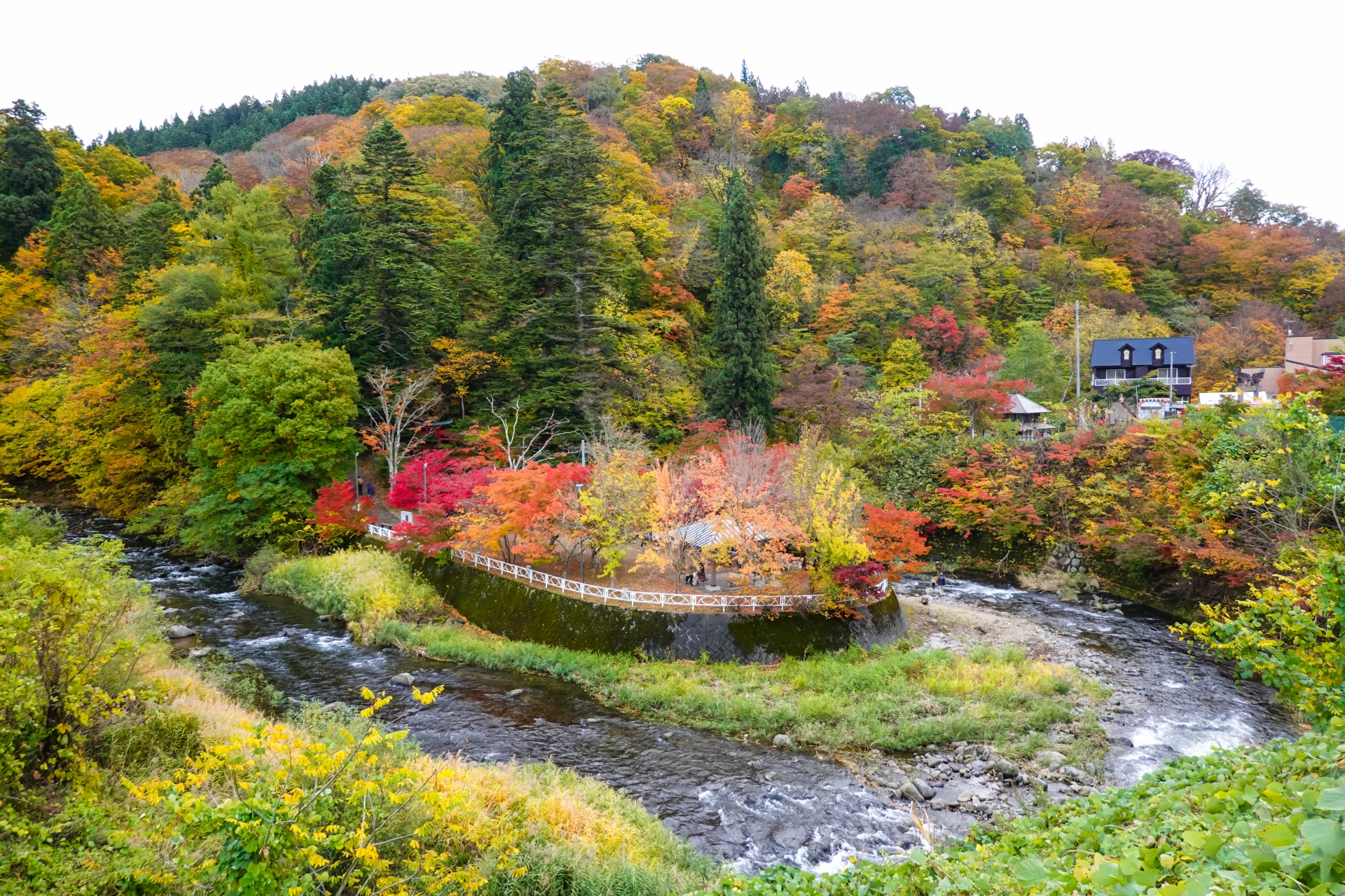 中野もみじ山