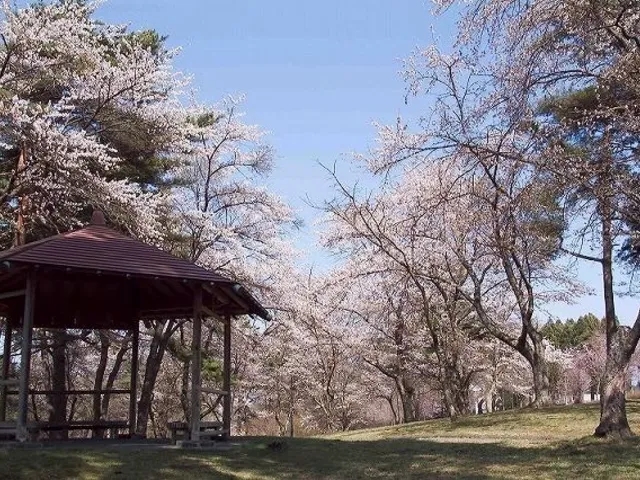 舘野公園