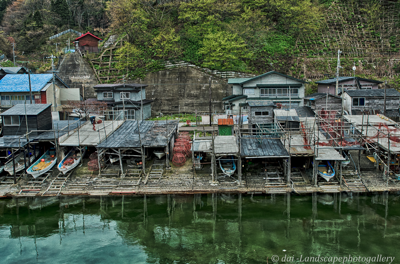 三厩梹榔