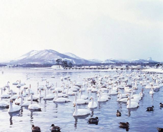 浅所海岸