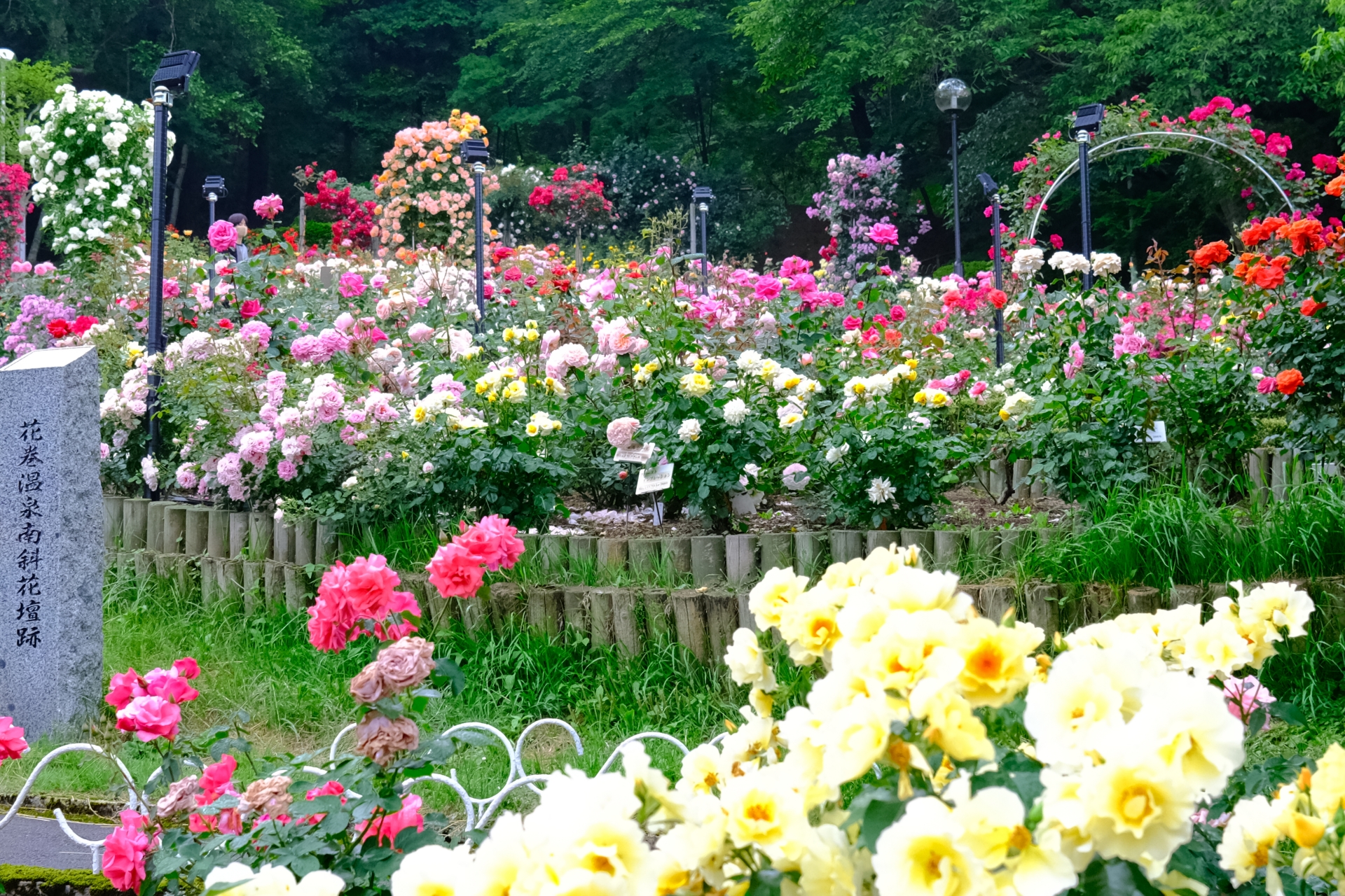 花巻温泉 バラ園