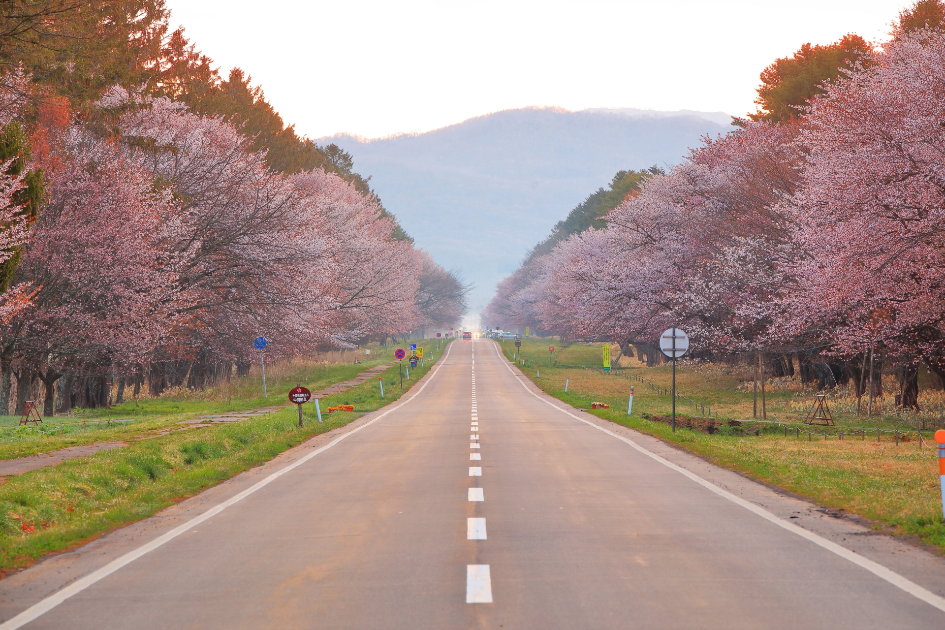 二十間道路