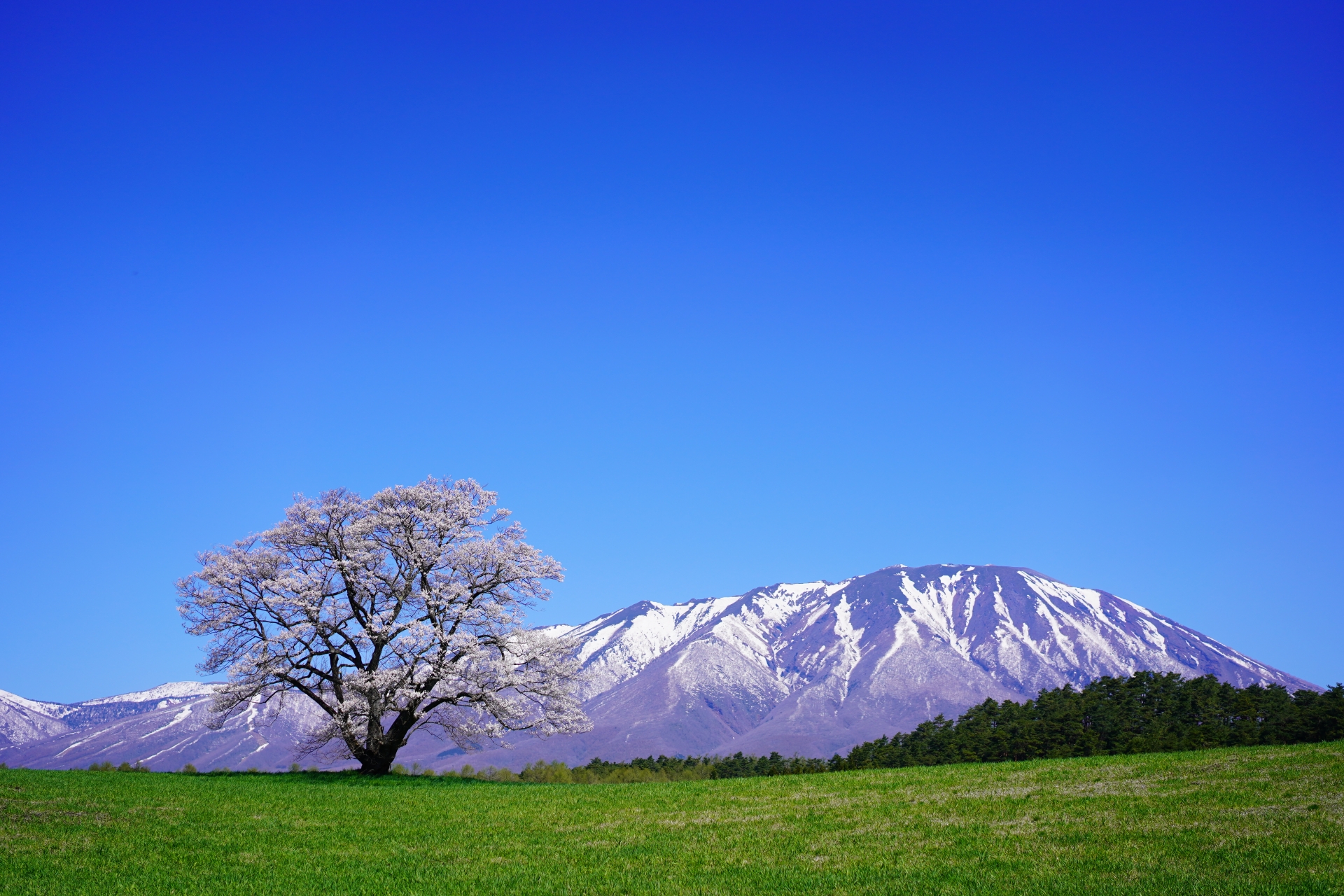 岩手山