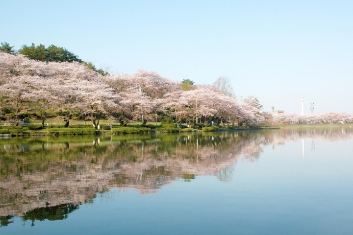 高松の池