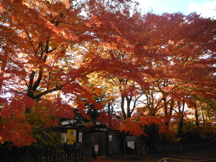 一ノ倉邸