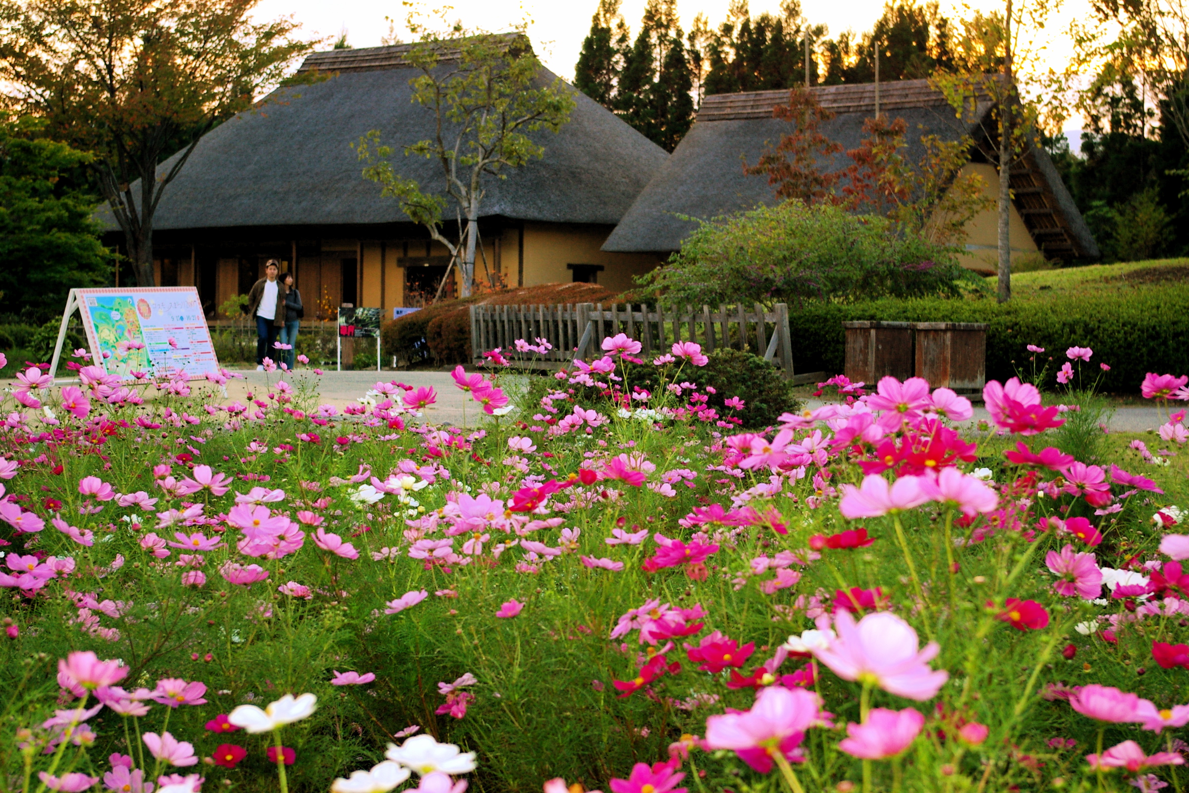 国営みちのく杜の湖畔公園