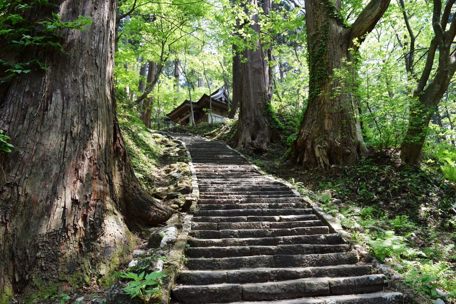 羽黒山公園