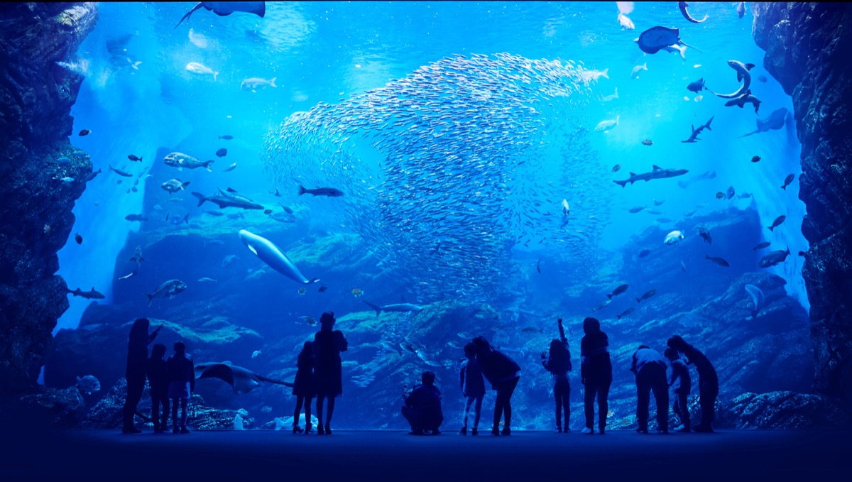 仙台うみの杜水族館