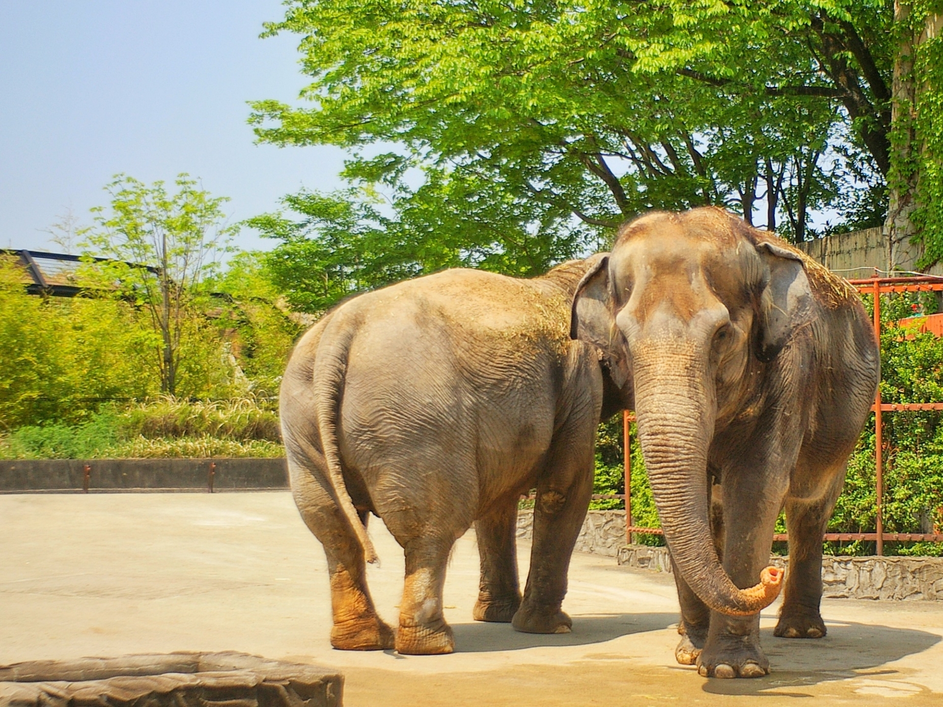 仙台市八木山動物公園(Yagiyama Zoological Park)